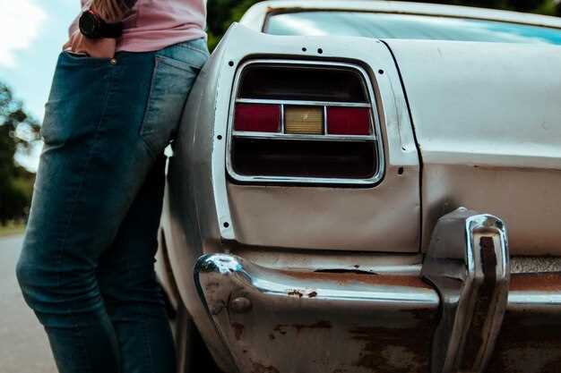 Mantenimiento de interior y limpieza de materiales clásicos